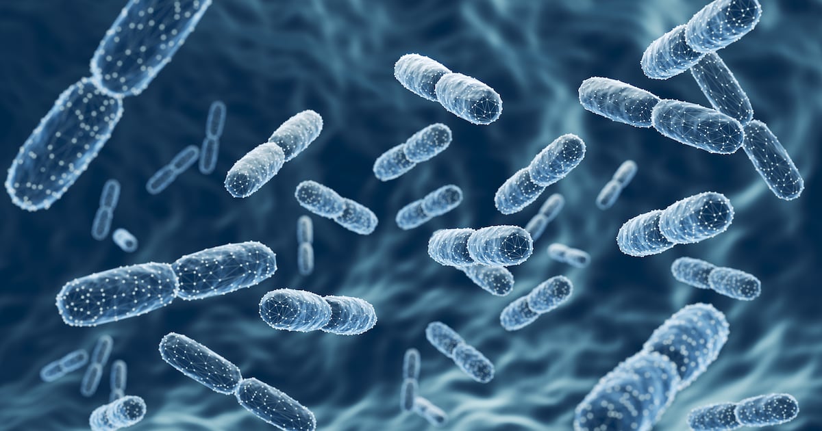 Vitaquest doubles probiotic capacity with New Jersey facility