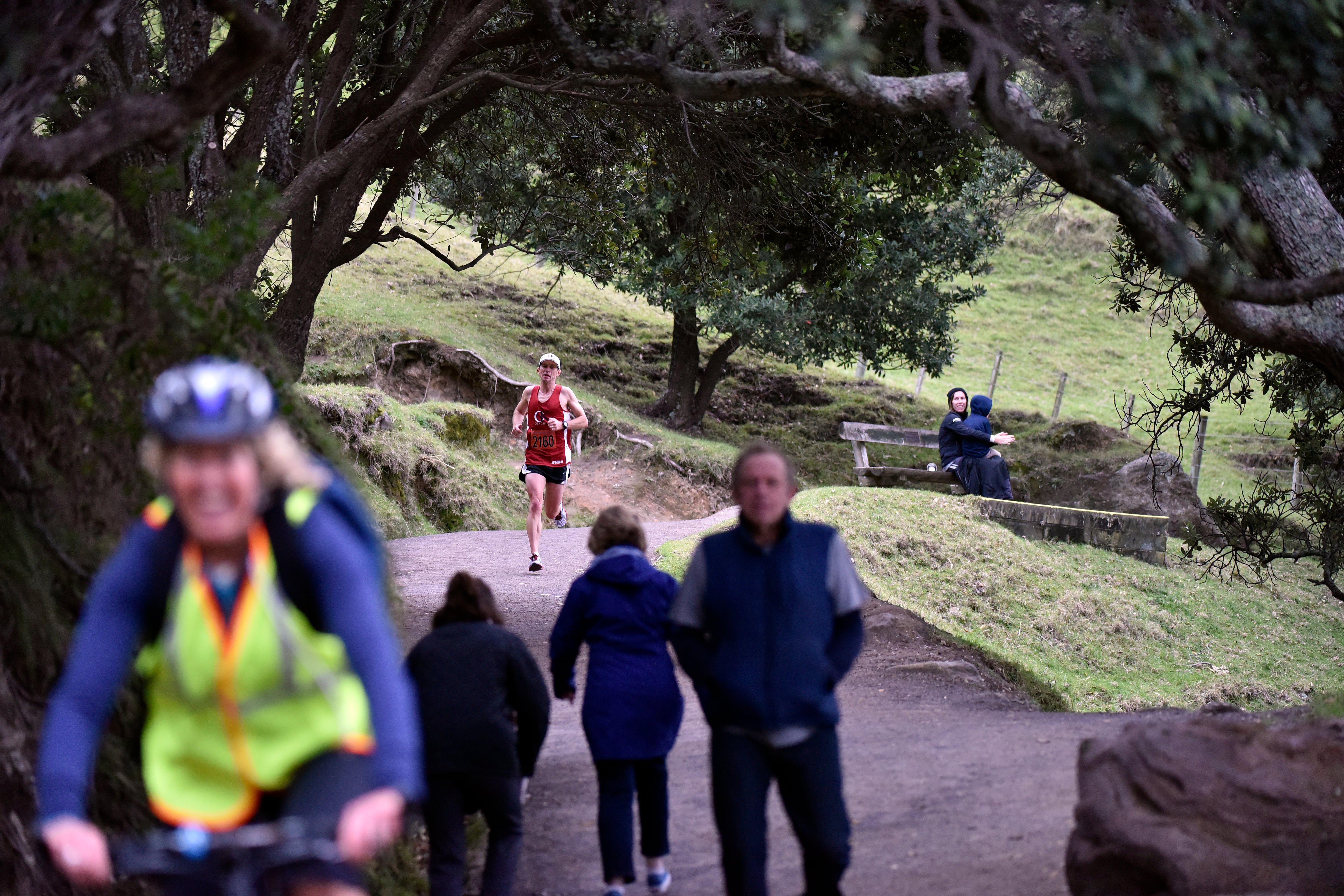 The base walking track on Mauao. Photo / George Novak