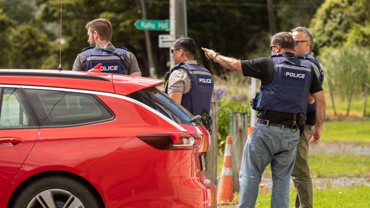 Kaihu dog attack: Impounded dogs to be destroyed after Northland police investigation