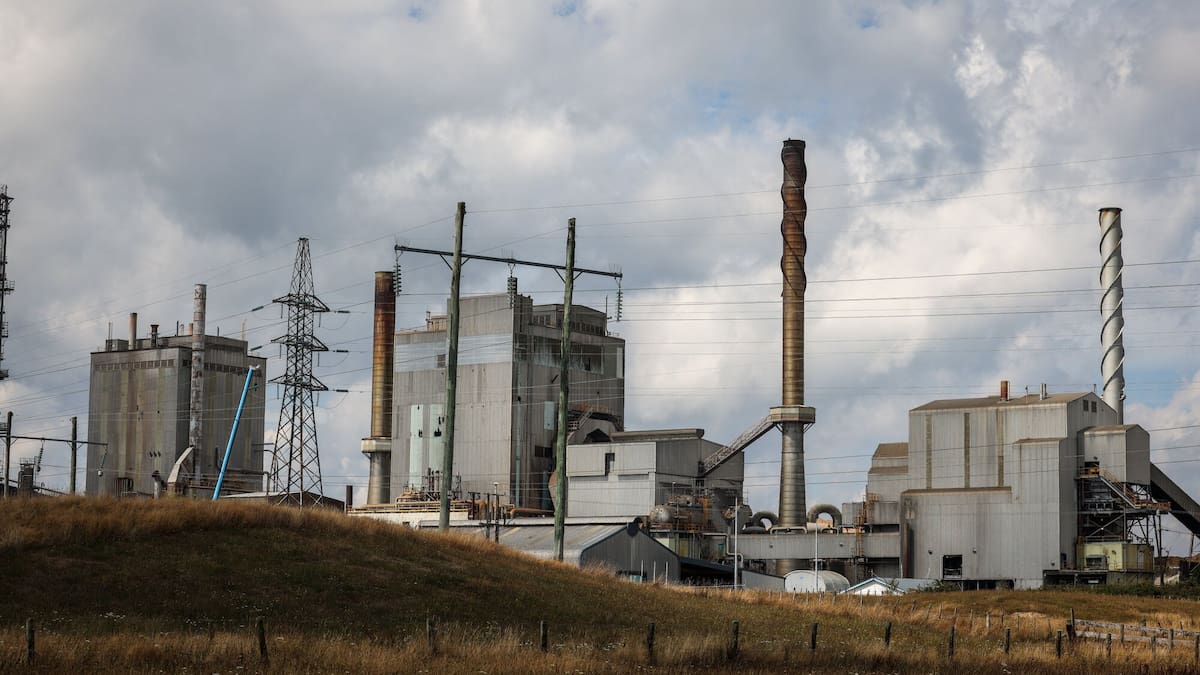 Project Phoenix: South Waikato positive about future after tough months