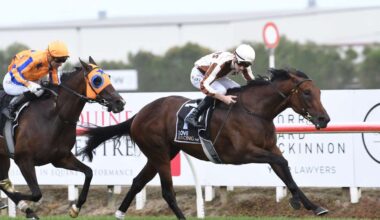 Opie Bosson back to being punter’s favourite on Te Rapa mega day