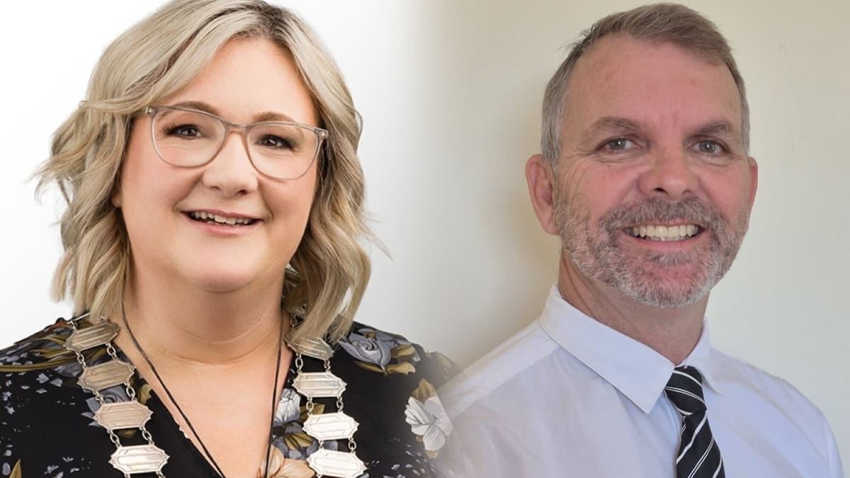 Hastings councillor Steve Gibson removed from risk committee by mayor