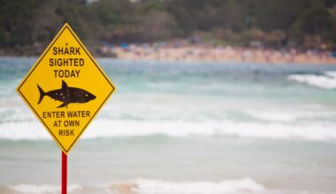 Teen, 13, makes harrowing swim through shark-frequented WA waters to save family swept out to sea