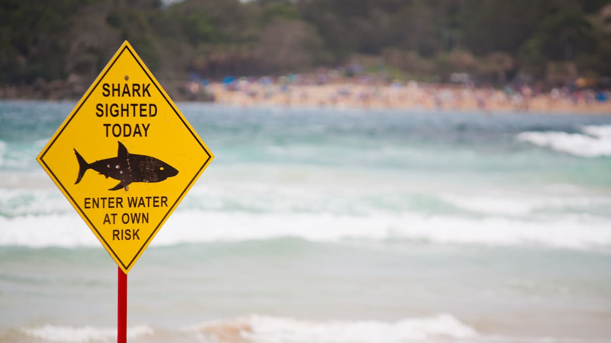 Teen, 13, makes harrowing swim through shark-frequented WA waters to save family swept out to sea