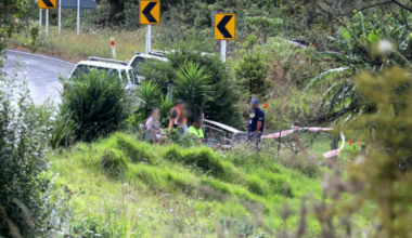 Dogs attracted multiple complaints before woman mauled to death in Kaihu, Northland