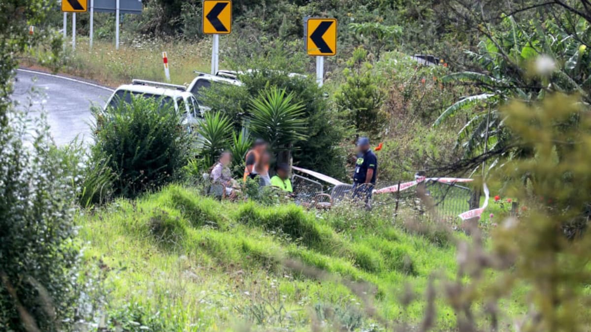 Dogs attracted multiple complaints before woman mauled to death in Kaihu, Northland