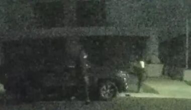 Police say 85-year-old missing in Sydney kidnapping is ‘wrong man’