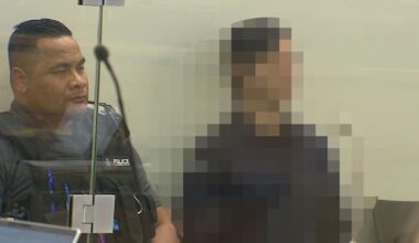 Man accused of smashing Winston Peters' window to go on trial in September