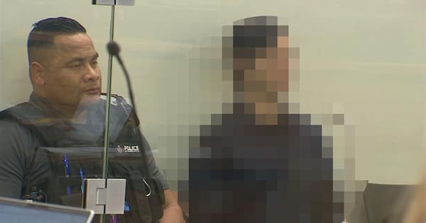 Man accused of smashing Winston Peters' window to go on trial in September