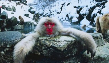 A Cozy Winter Ritual Turned Into Something Strange