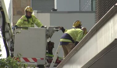 Person in hospital after reported fall from Christchurch's Tūranga library