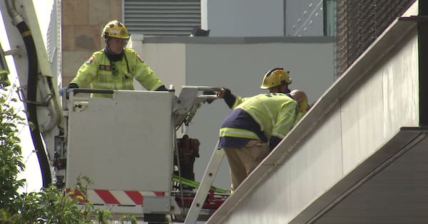 Person in hospital after reported fall from Christchurch's Tūranga library