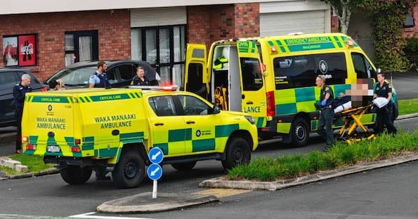 Wanted man armed with firearm shot by police in Hamilton