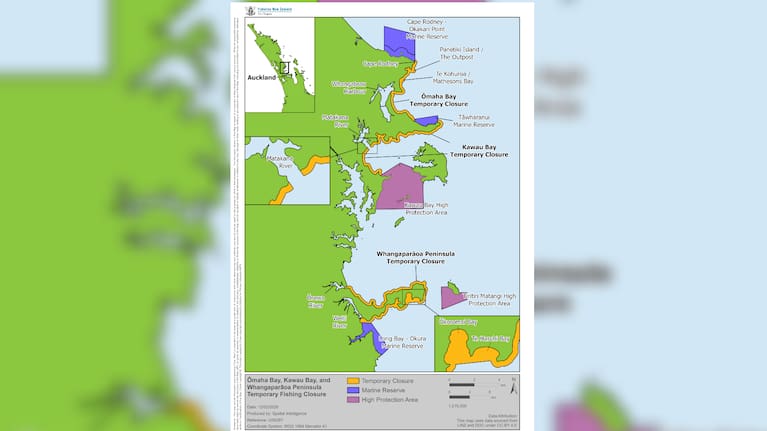 A map of the areas where a temporary two-year ban on gathering most marine life from rockpools on the east coast north of Auckland.
