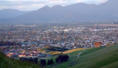 Major insurer declines new home insurance policies for Blenheim