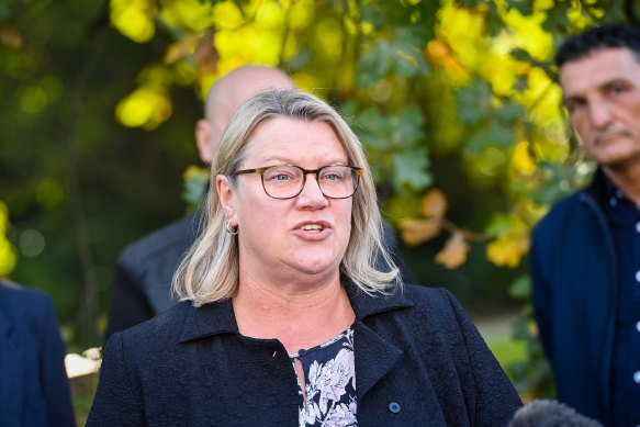 Mental Health Minister Ingrid Stitt is under pressure to abandon planned changes to the sector.