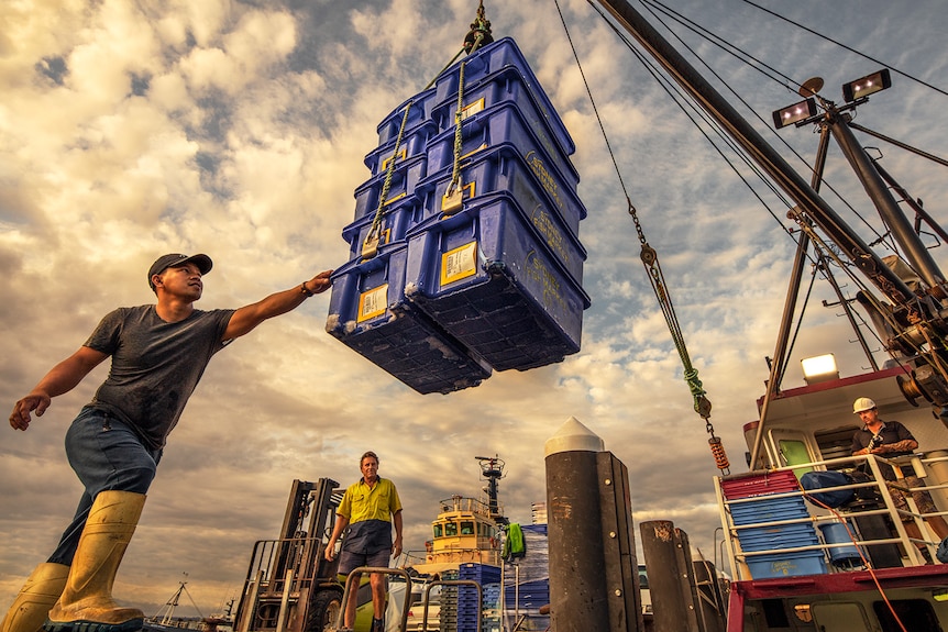 A man reaches for a big blue basket of fish on a fishing wharf