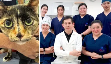 Subscribe Placeholder