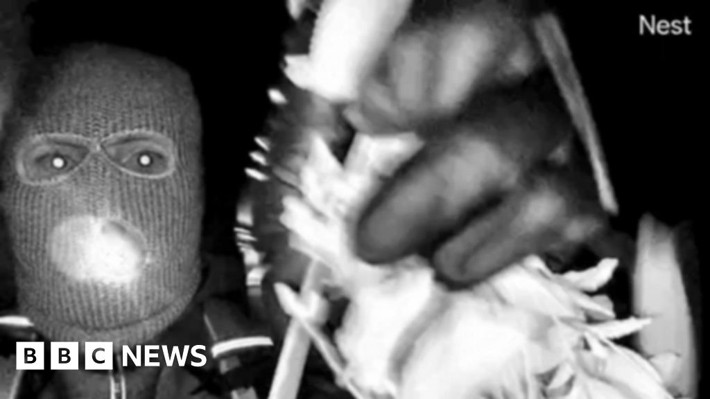 FBI releases images of masked person in hunt for Savannah Guthrie's mother - BBC