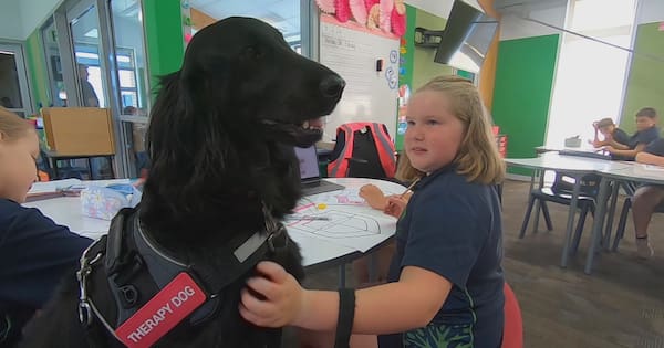 Volunteer’s plea to save therapy dog service