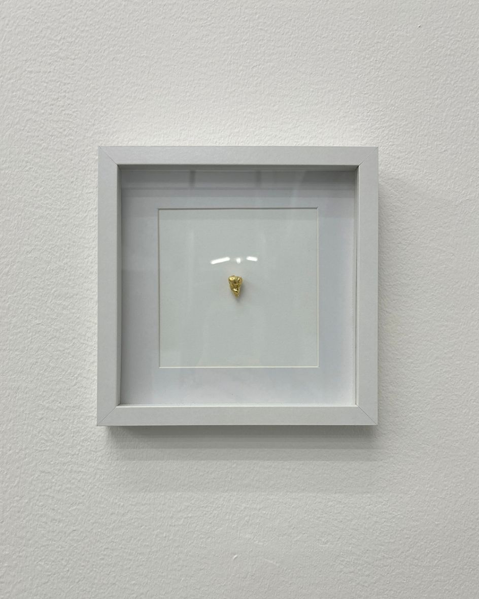 Wisdom, 2026, Sarah Boris