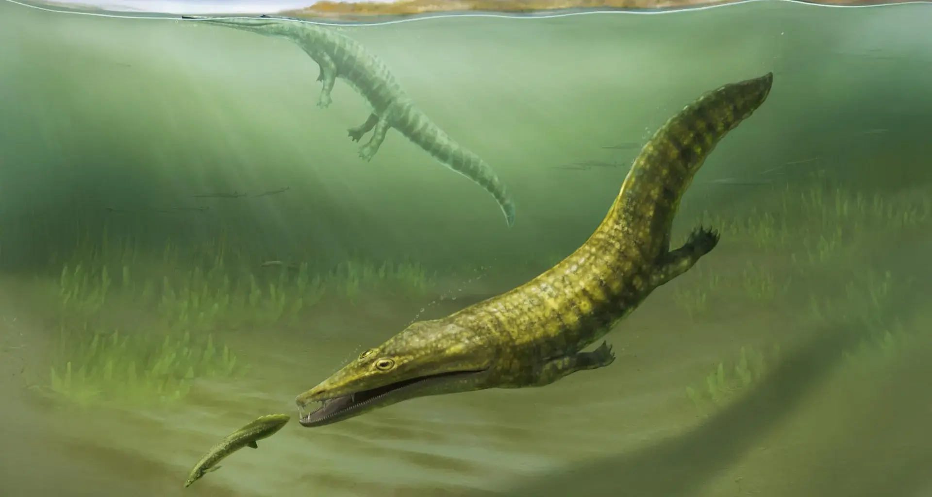 Lost fossils reveal sea monsters that took over after Earth’s greatest extinction