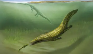Lost fossils reveal sea monsters that took over after Earth’s greatest extinction