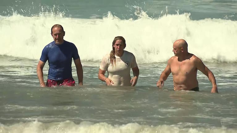 Andrew Little, Frankie McPhail and Steve Walters go for a swim at Lyall Bay on Wednesday. 