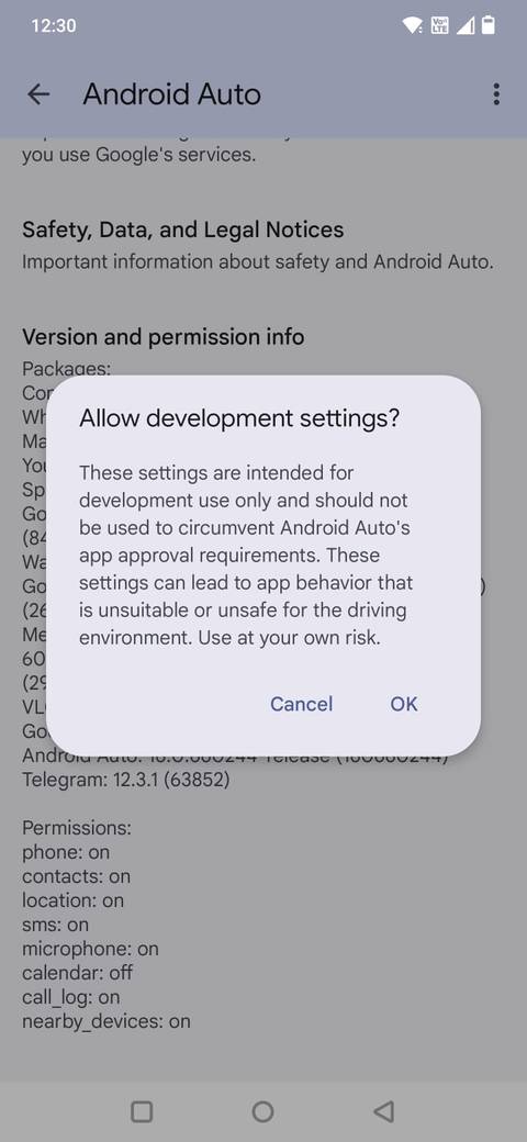 Screenshot showing the developer setings dialog box in Android Auto