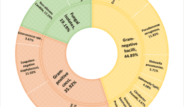 Bloodstream Infections in Intensive Care Units: Microbial Spectrum and Antibiogram From a Tertiary Care Hospital in Central India