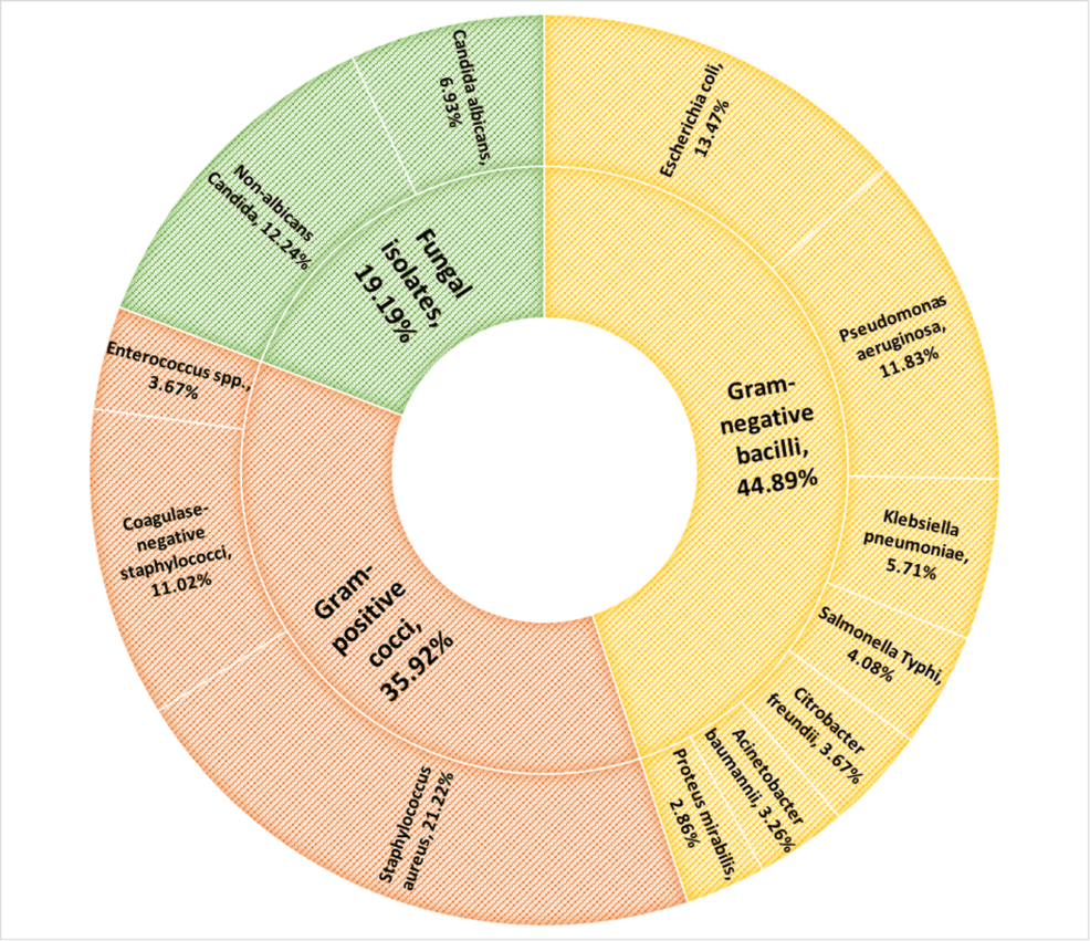 Bloodstream Infections in Intensive Care Units: Microbial Spectrum and Antibiogram From a Tertiary Care Hospital in Central India