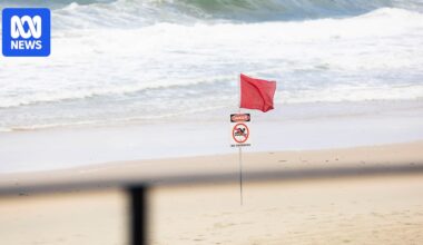 Queensland shark-monitoring drone trial reveals shark sightings beyond nets and drum lines