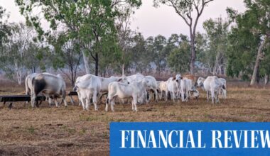 Download on the App Store