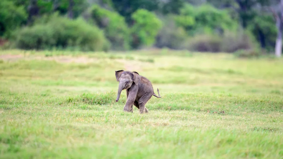 Image via Shutterstock&sol;Wirestock Creators&NewLine;