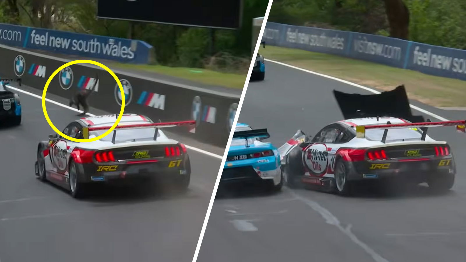 Cars strike wallaby in Bathurst 12 Hour support qualifying