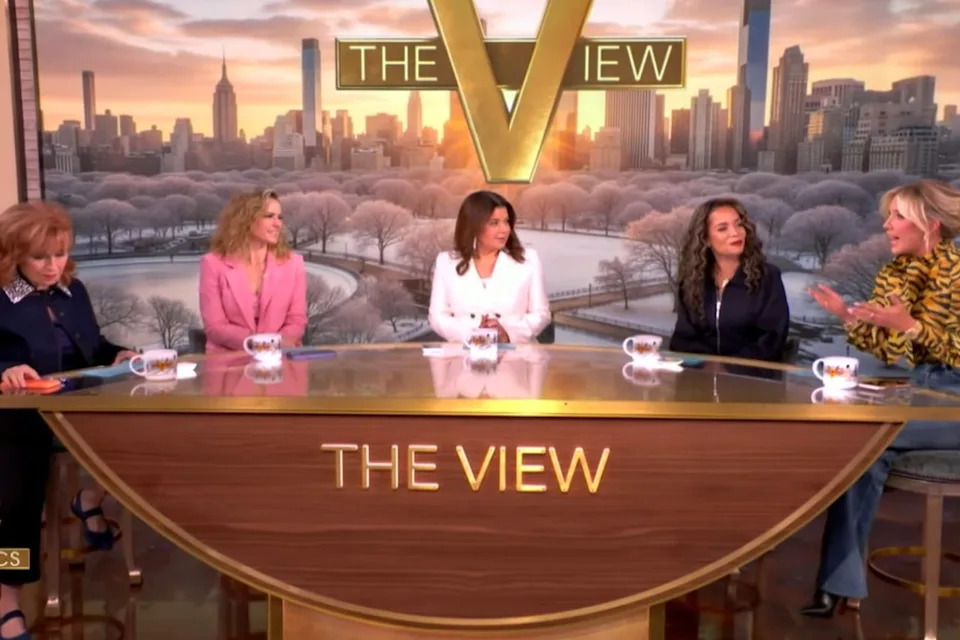 'The View' cohosts ABC