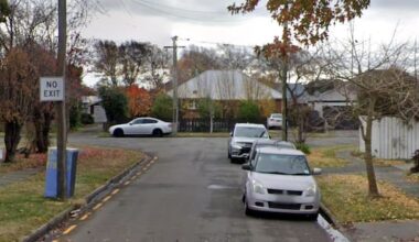 Witness to Christchurch father and son dog attack: 'It was a bloodbath'