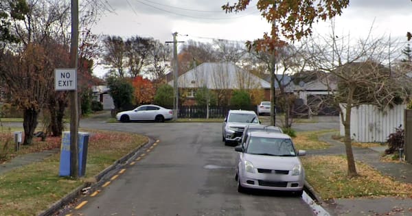 Witness to Christchurch father and son dog attack: 'It was a bloodbath'