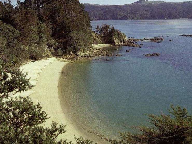 Pakatua Island, in the Hauraki Gulf, has been on and off the market since around 2006. Photo / Supplied