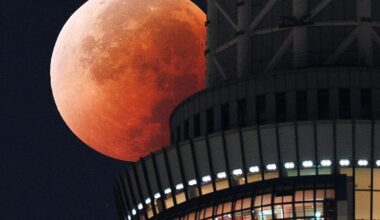 blood-moon-eclipse-gettyimages-2233685613