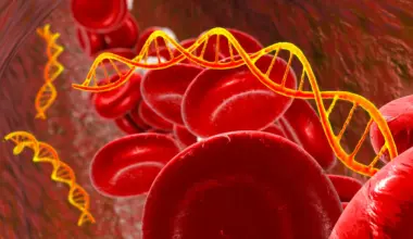 Mysterious RNA led scientists to a hidden layer of cancer