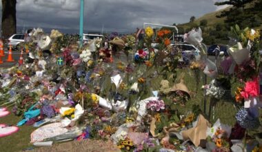 Inquiry into fatal BoP landslides, closures remain at Mauao