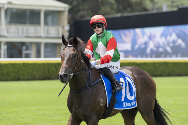 Agrarian Girl - image Bradley Photos