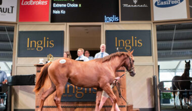 Top lot on day 1 - $425,000 filly by Extreme Choice.