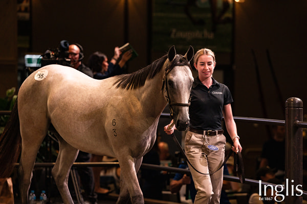 Hidrix sold for $1.7million at Inglis Easter.