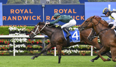 Fireball runs in the JHB colours - image Bradley Photos