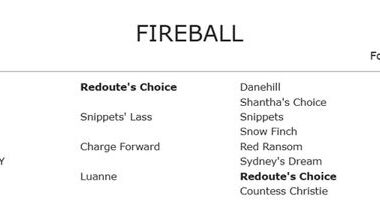 Pedigree Watch – 2YO Up and Comer Stars