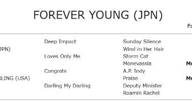 2026 Saudi Cup Result- Japanese Superstar Forever Young Wins Again