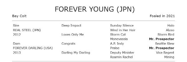 2026 Saudi Cup Result- Japanese Superstar Forever Young Wins Again