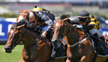 Liguria winning the Gr.3 Colin Jillings 2YO Classic (1200m) at Ellerslie on Saturday. Photo: Kenton Wright (Race Images)